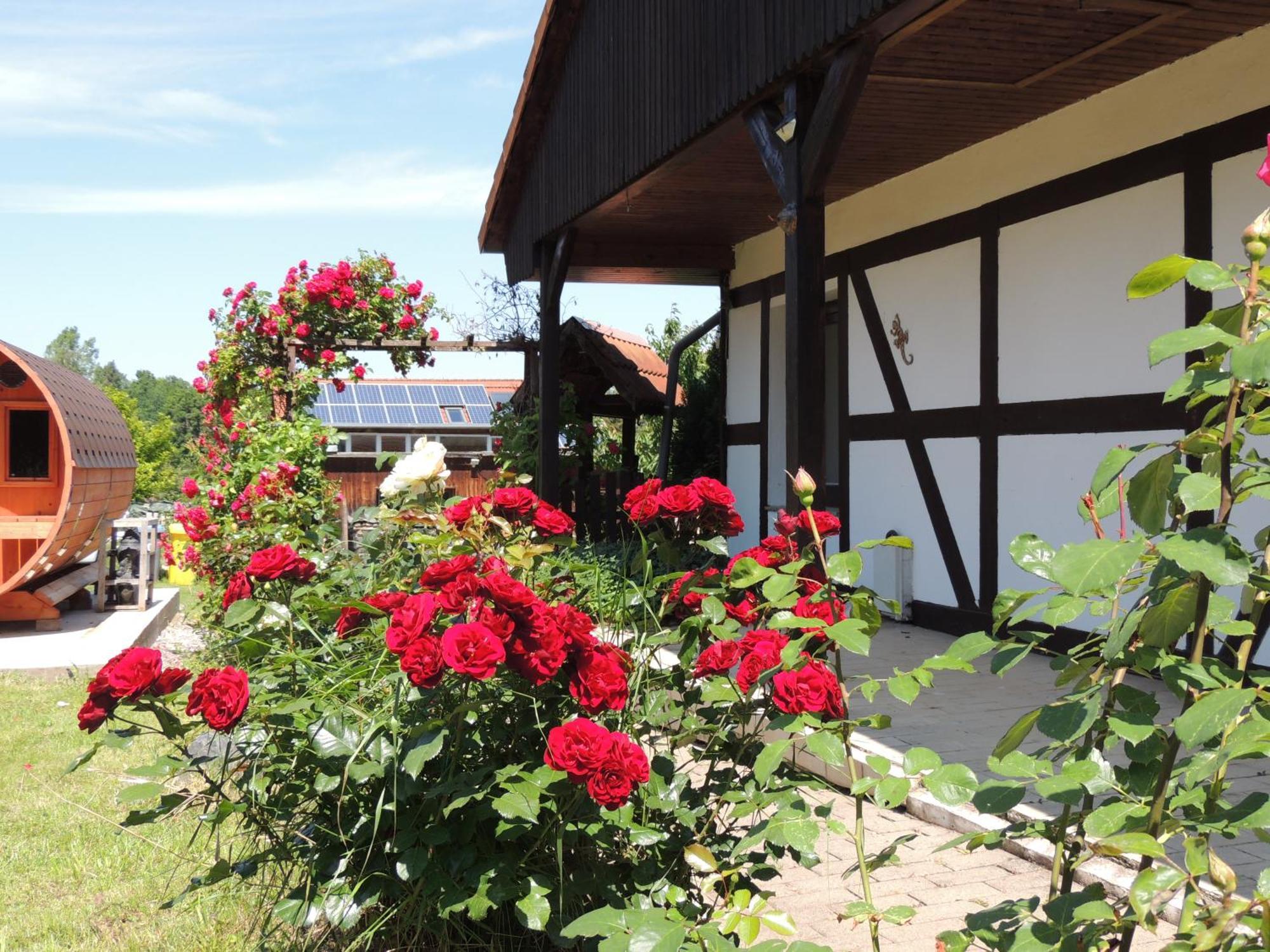 فيلا Ferienhaus Weinberg فيرنغروده المظهر الخارجي الصورة